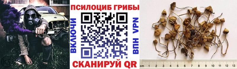 Псилоцибиновые грибы мицелий  Балтийск 