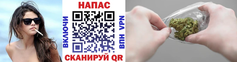 Бошки марихуана сатива Балтийск
